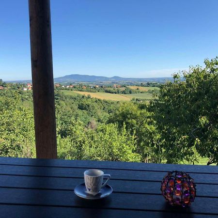 Vila Pogled Aranđelovac Exteriér fotografie