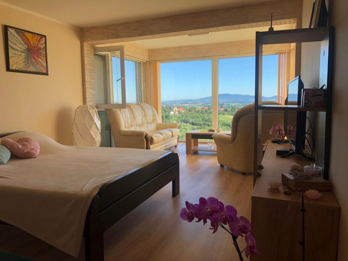 Vila Pogled Aranđelovac Exteriér fotografie