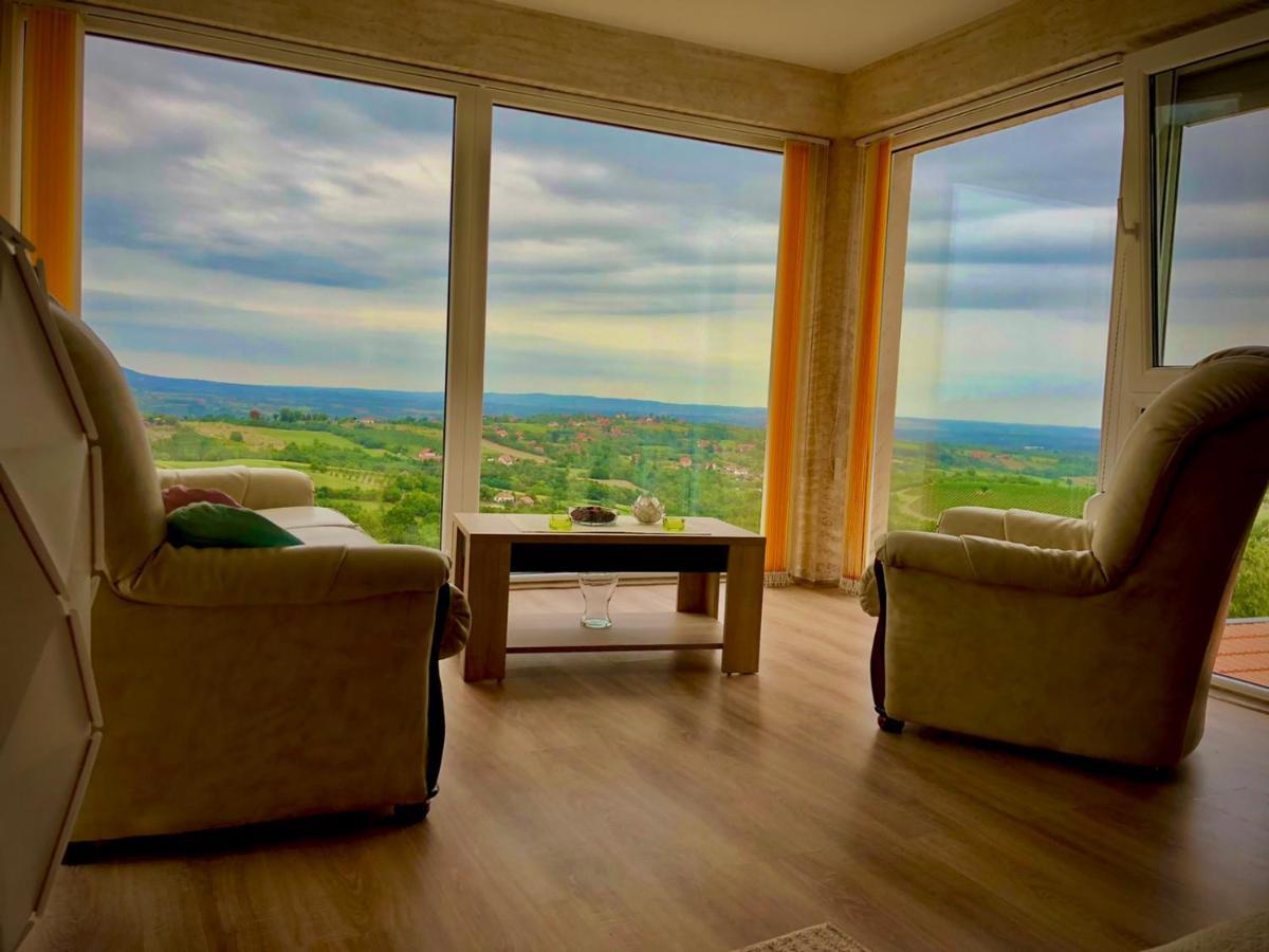 Vila Pogled Aranđelovac Exteriér fotografie