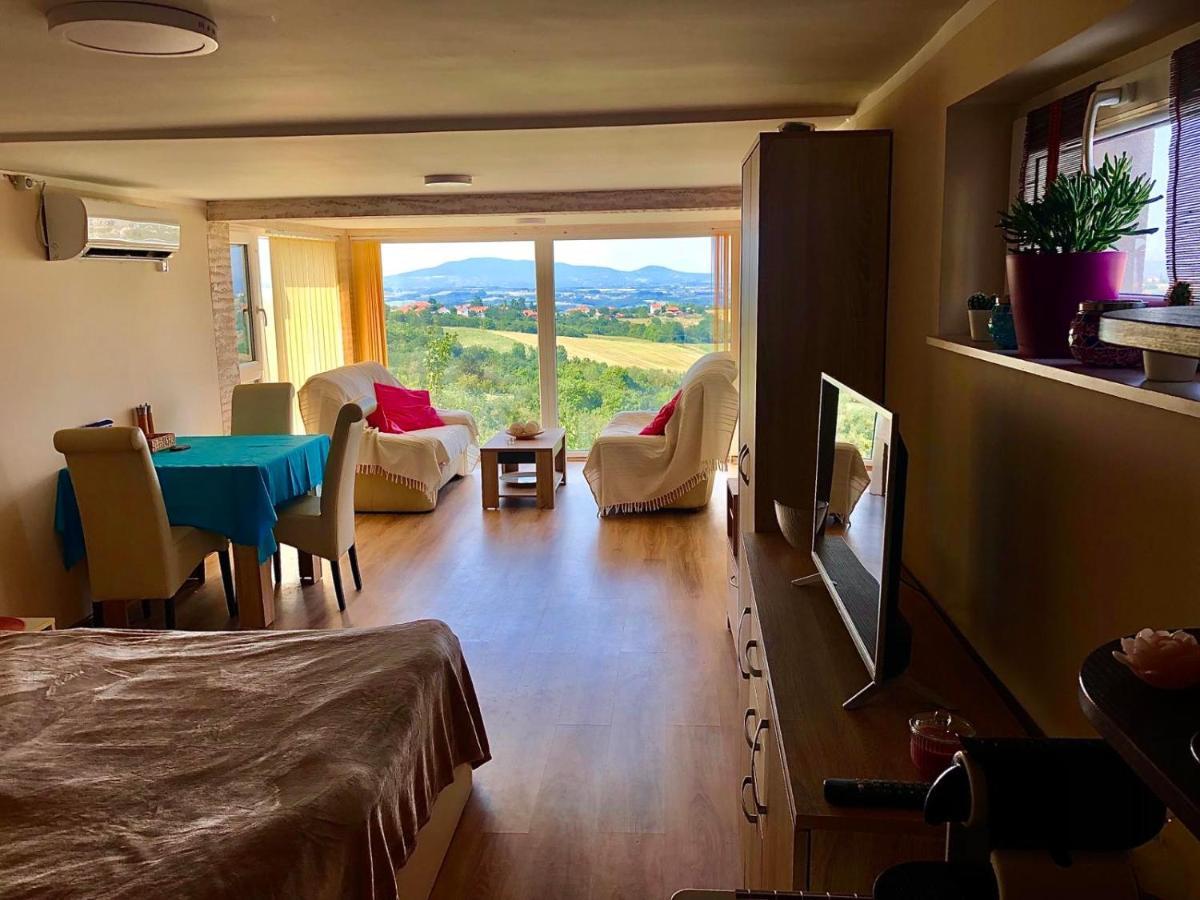 Vila Pogled Aranđelovac Exteriér fotografie