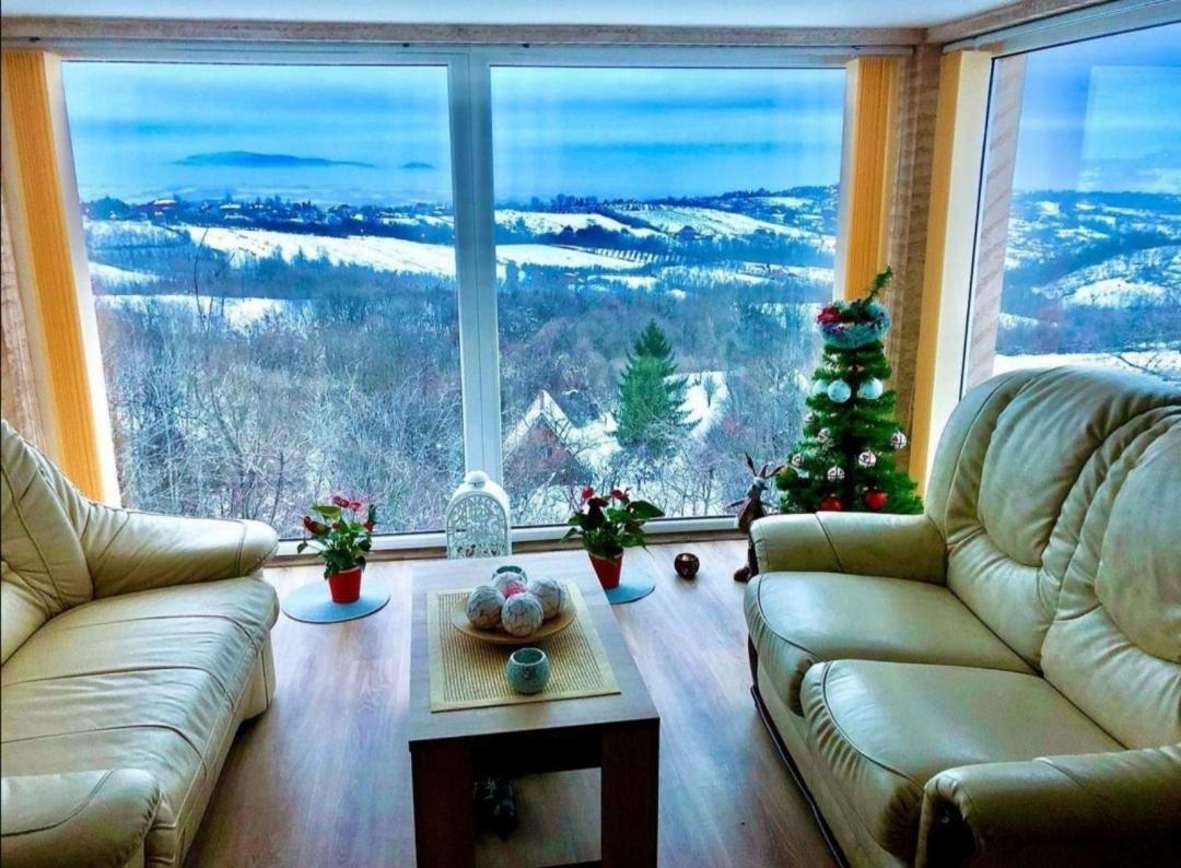 Vila Pogled Aranđelovac Exteriér fotografie