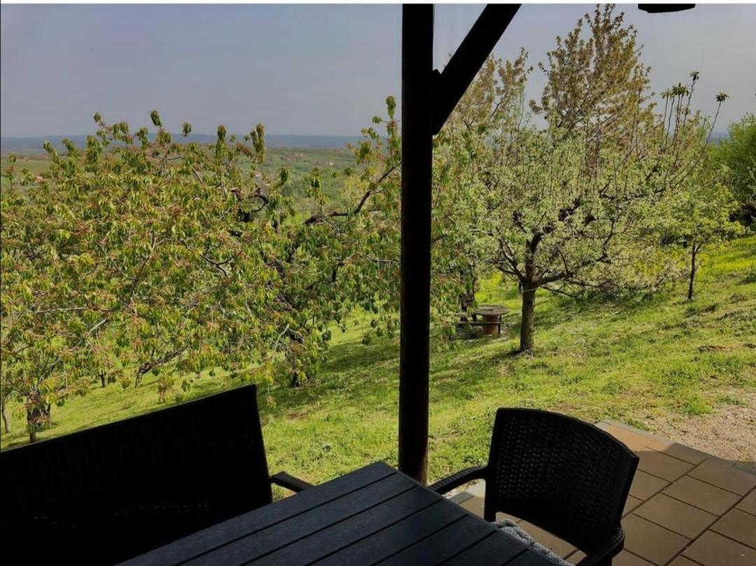 Vila Pogled Aranđelovac Exteriér fotografie